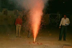 78690039