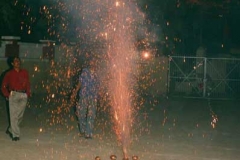 78690040